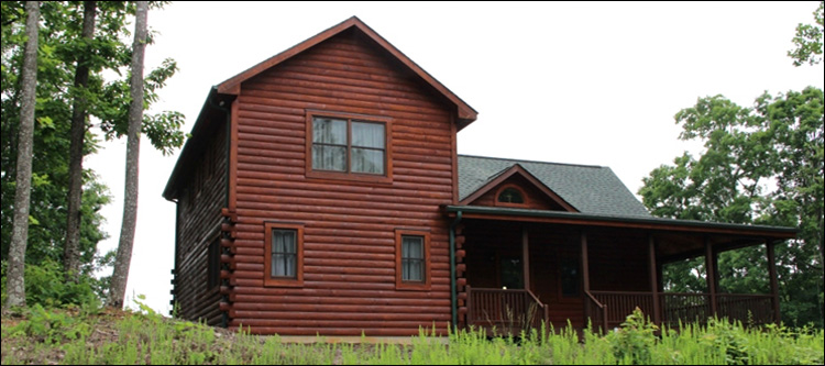 Professional Log Home Borate Application  Suffolk City, Virginia